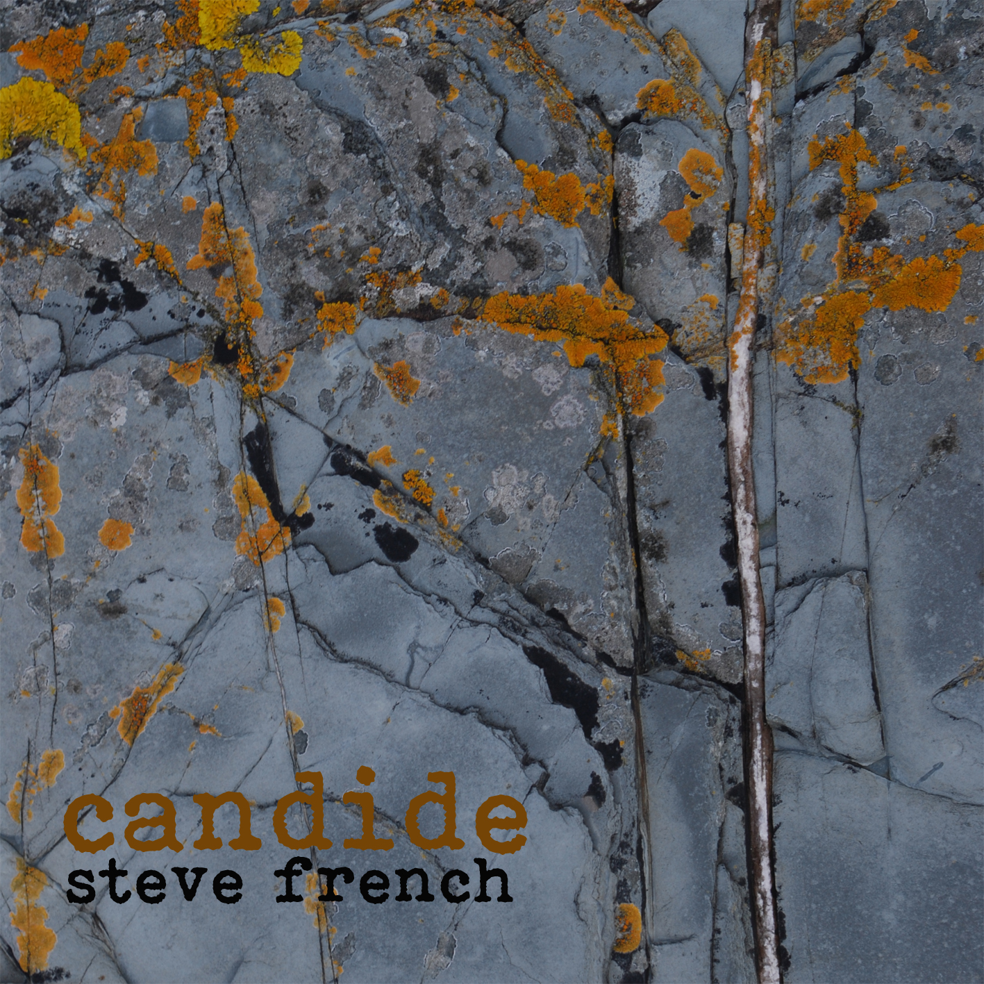 Steve French - Candide Steve French - Candide